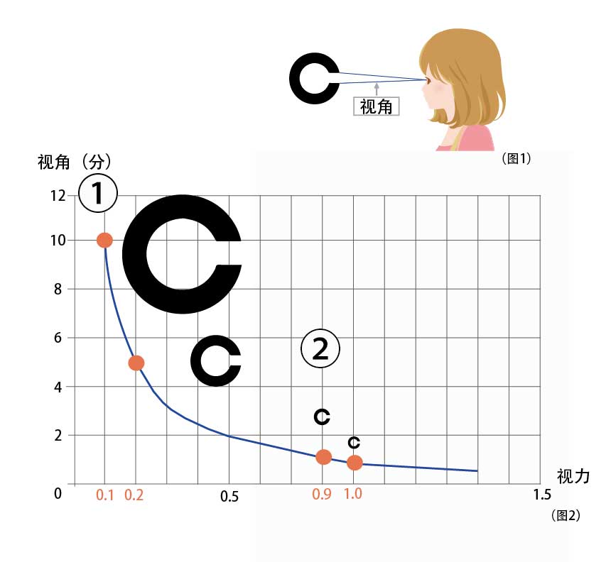 視力與視角的關(guān)系